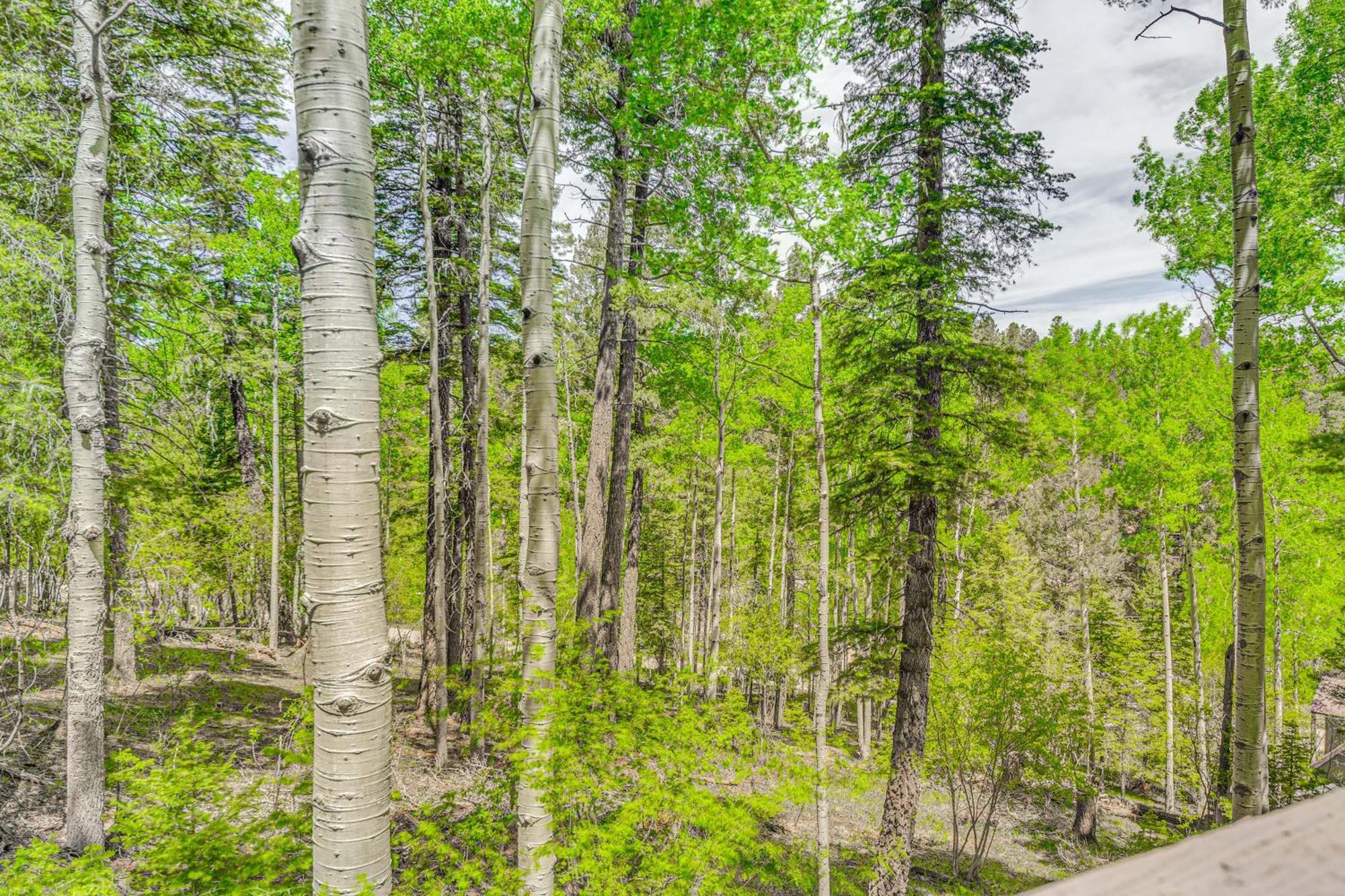 Quaint Cloudcroft Cabin With Stunning Forest Views! Exterior foto